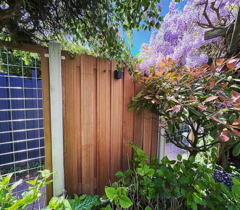 Schutting verlichting tuin BB Tuinaanleg
